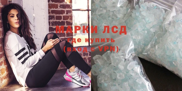 spice Аркадак