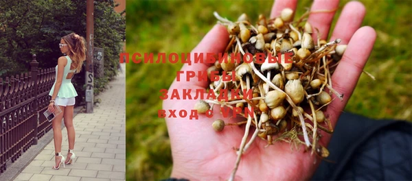 бутират Арсеньев