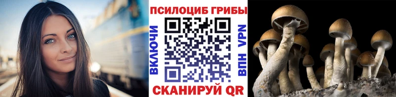 Псилоцибиновые грибы ЛСД Рошаль