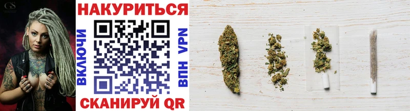 Шишки марихуана OG Kush  где можно купить   Рошаль 