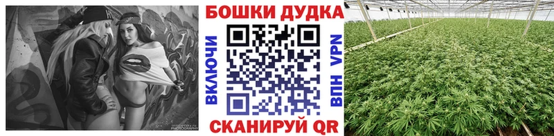 Бошки Шишки индика Рошаль